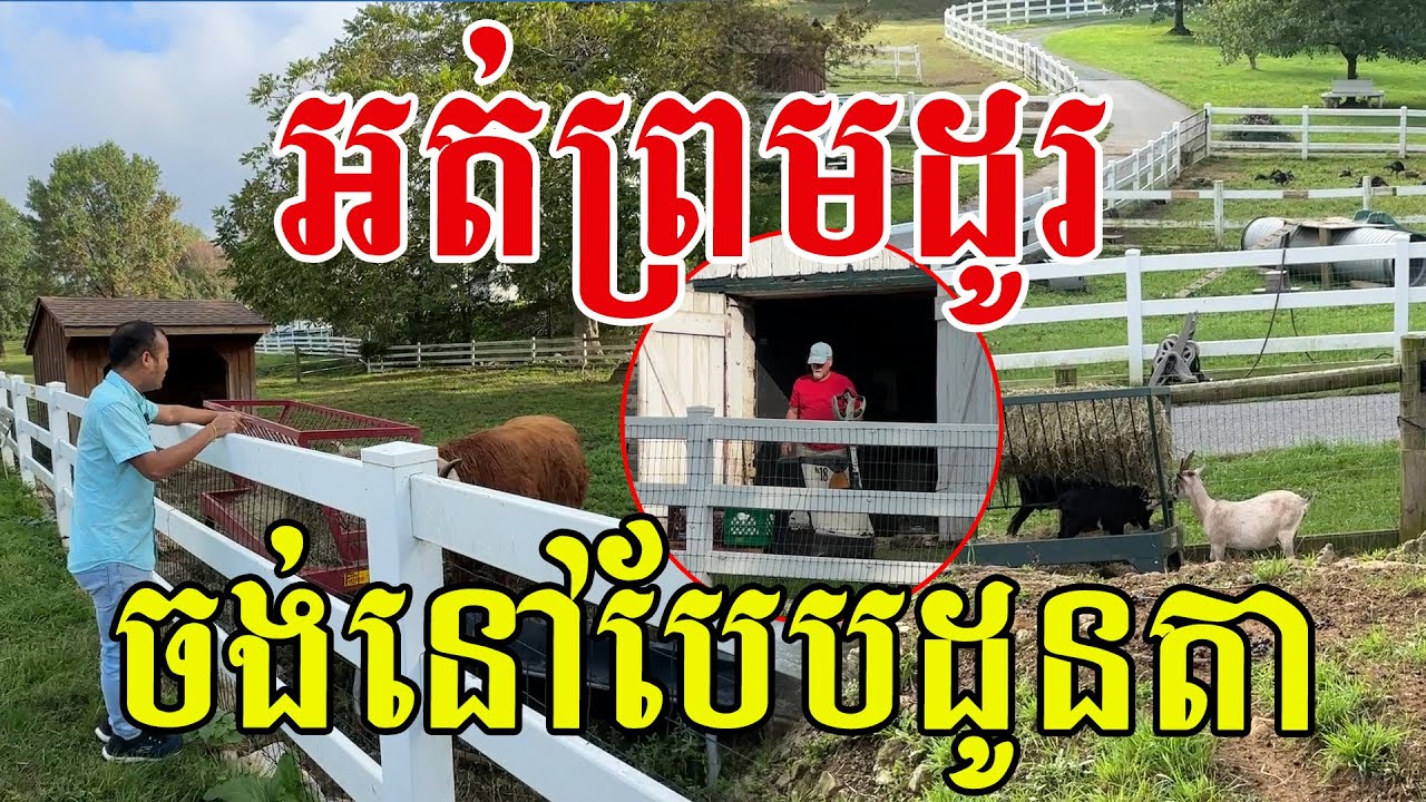 អត់ដូរទេ ពួកគាត់ចង់នៅបែបដូនតា សូមសរសើរមើលទៅភូមិស្រស់ស្អាតណាស់