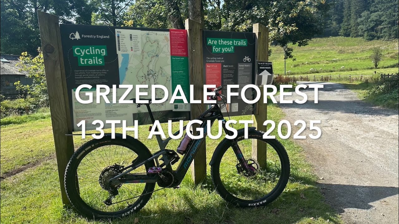 Struggling at Grizedale Forest - 13th August 2025