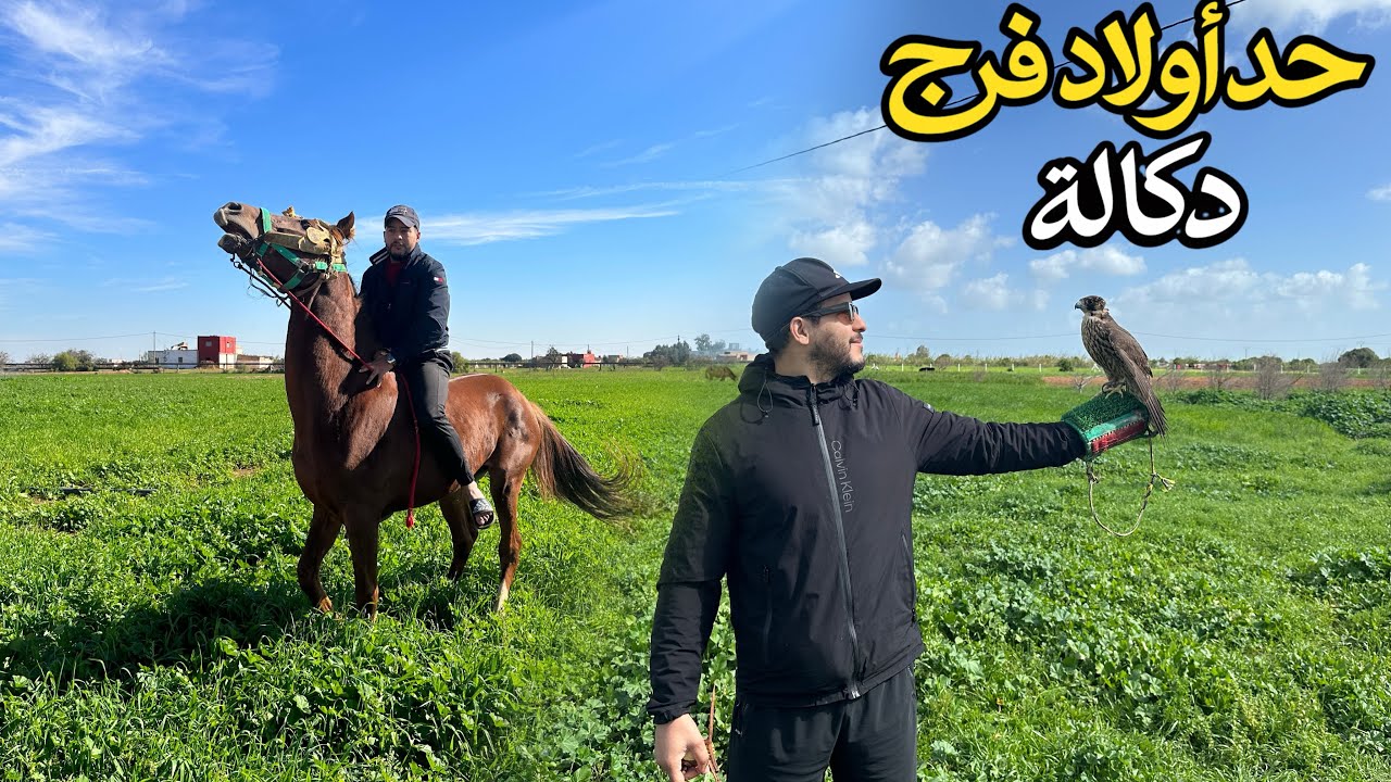 يوم ممتع في حد ولاد فرج 🤩 ركوب الخيل وترويض صقر الشاهين وسط الطبيعة الساحرة 🐎🦅