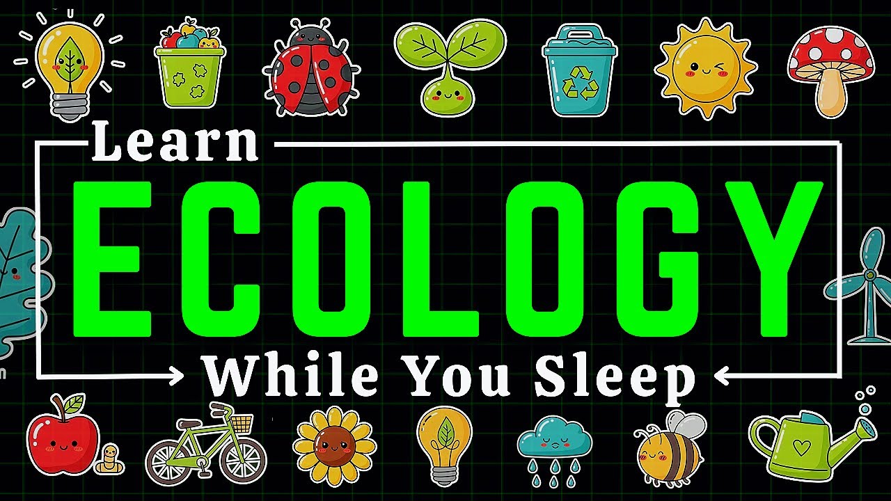 Ecology for Sleep: Environmental Systems