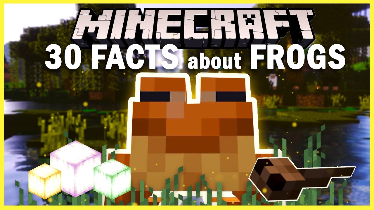 🐸30 Things You Might Not Know About Frog In Minecraft 1.19🐸