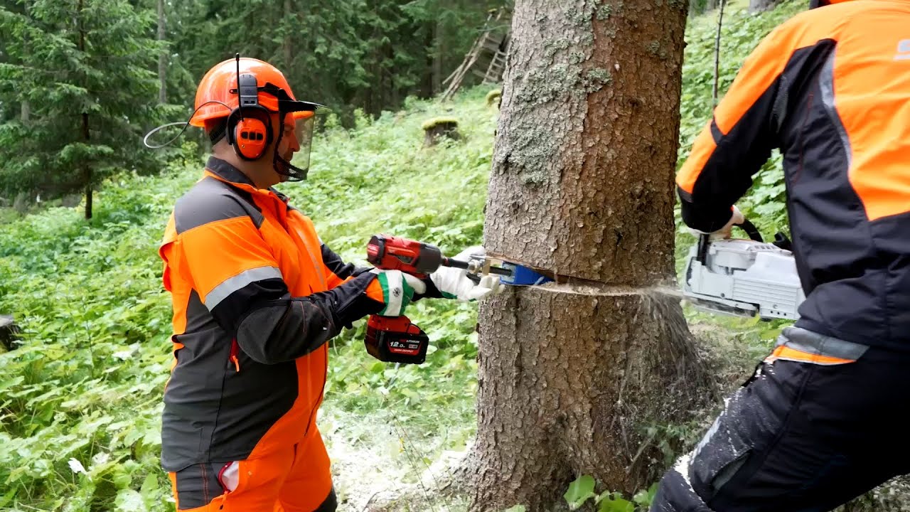 Grundbichler Garten Forst GmbH - Forstkeil & Hilfsseilwinde im Einsatz