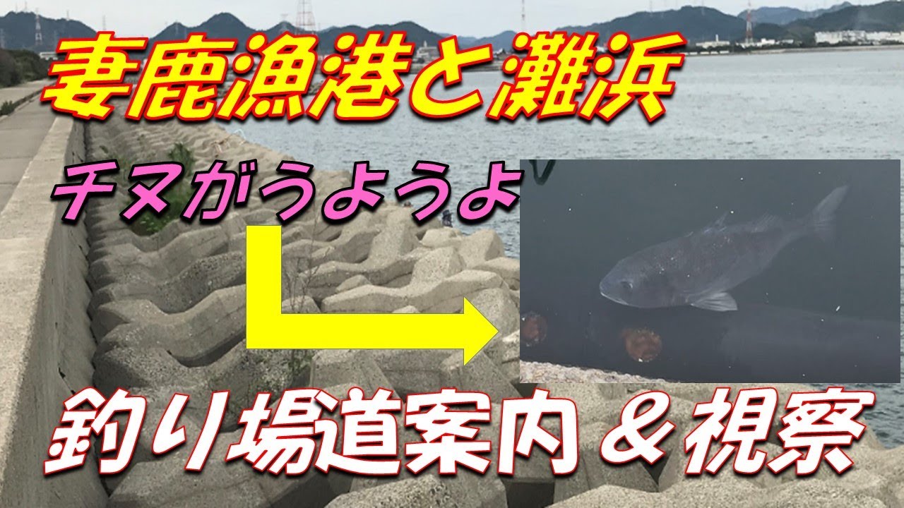 姫路市の釣り場　妻鹿漁港と灘浜　釣り場道案内＆釣り場視察（Himeji City)