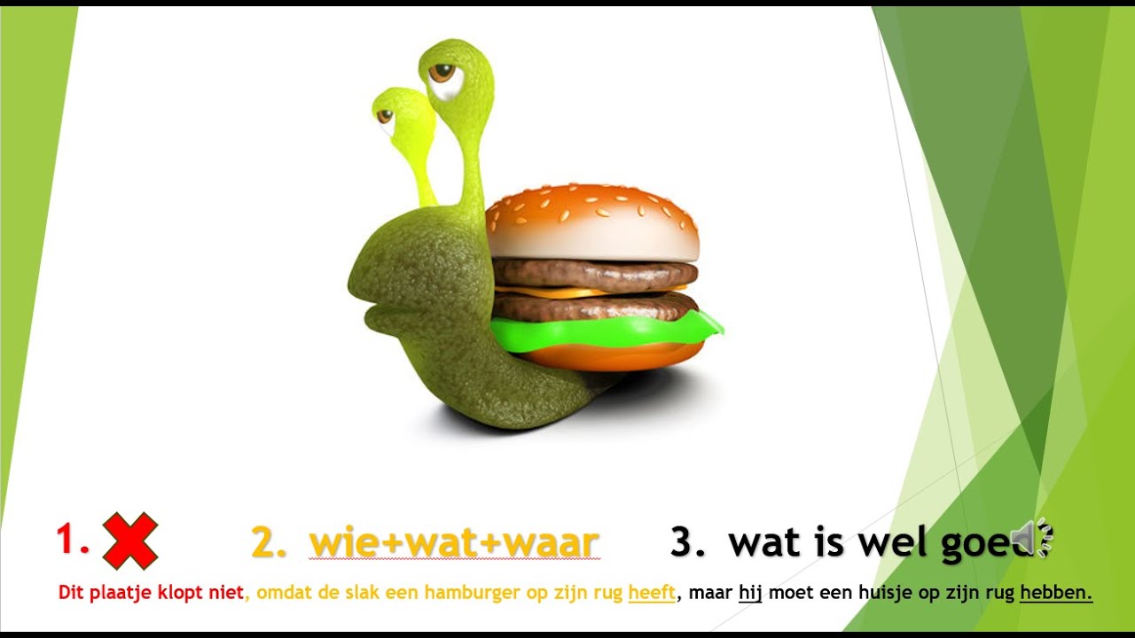 LENTE - zinsbouw - Dit plaatje klopt niet