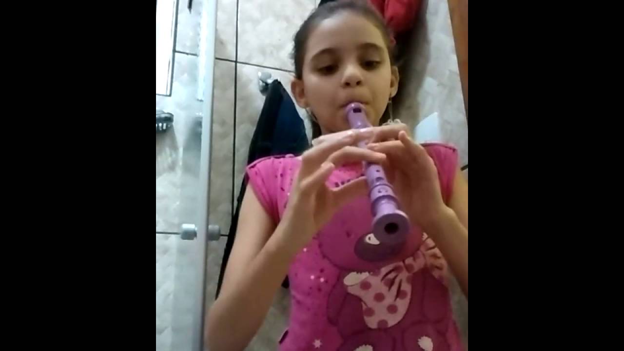 Primeiros Passos na Flauta Doce!!!