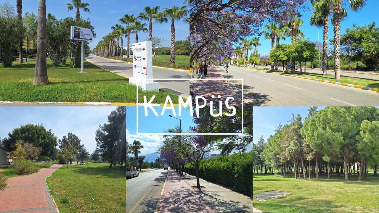 Akdeniz Üniversitesi Hakkında🦩Kampüs, Fakülteler, KYK, Yemekhane, Merkeze ve Denize Uzaklık, Kiralar