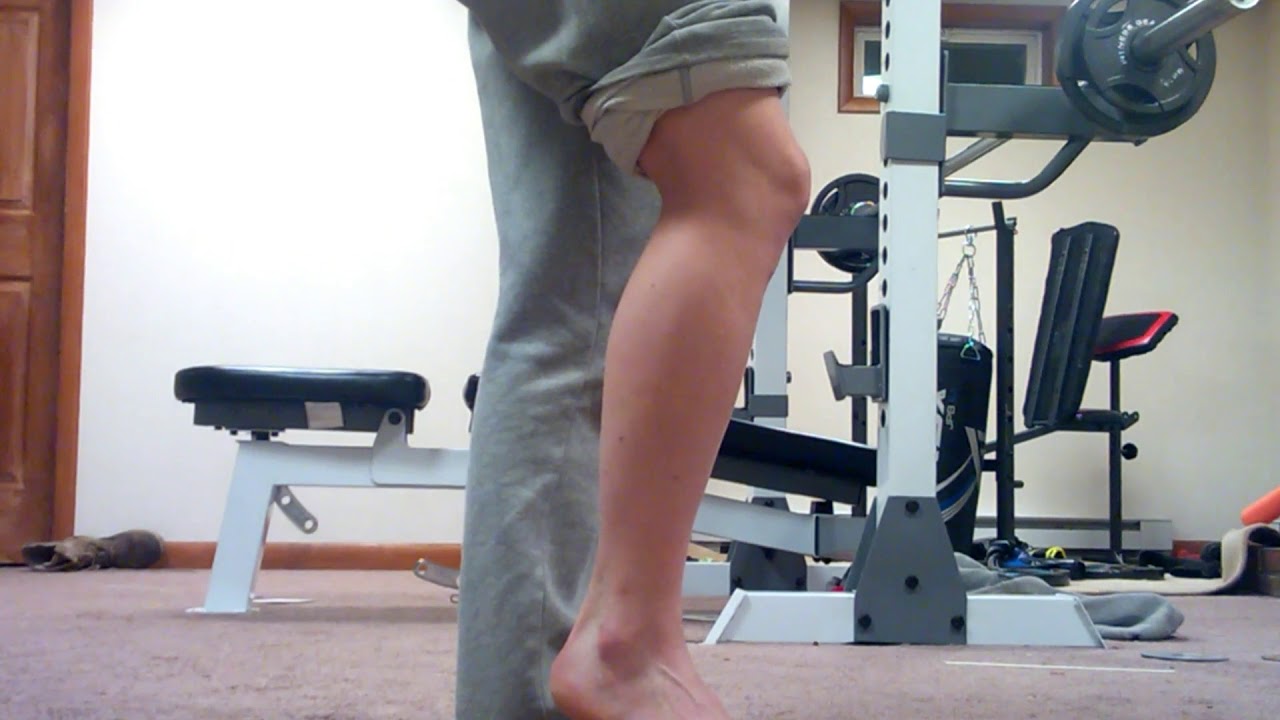 Muscle Functions: Plantaris