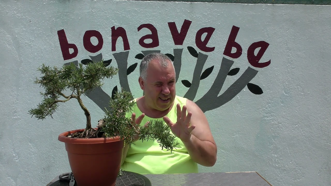 @bonavebedesdeVigoGalicia. Dos romeros 2023.