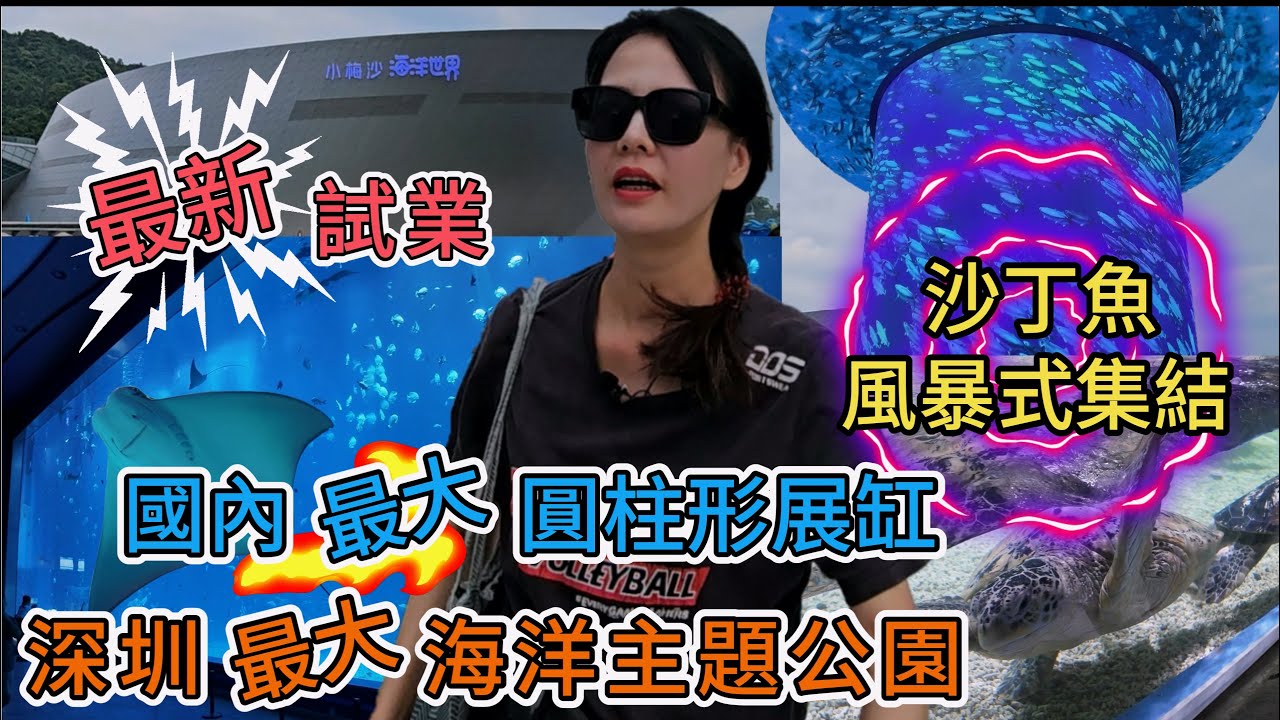 深圳小梅沙海洋世界🌸國慶試業💖國內最大的圓柱形展缸👍🏻深圳最大海洋主題公園🥳熱帶館😁極地館😇鯨豚館🤩海獅混養館💓青藍洞大廳👏🏻沙丁魚風暴式集結😀深圳地鐵2號8號線小梅沙站 A 出口☀深圳市鹽田區