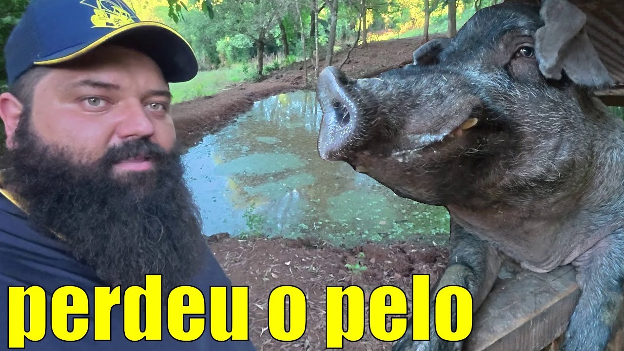 o açude parou de transbordar, olhando a minha roça de milho