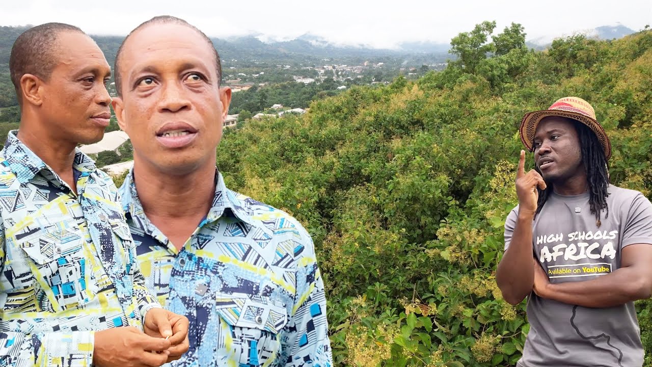 This School Could Supply Ghana With Electricity Poles One Day | Bueman SHS | Oti Region.