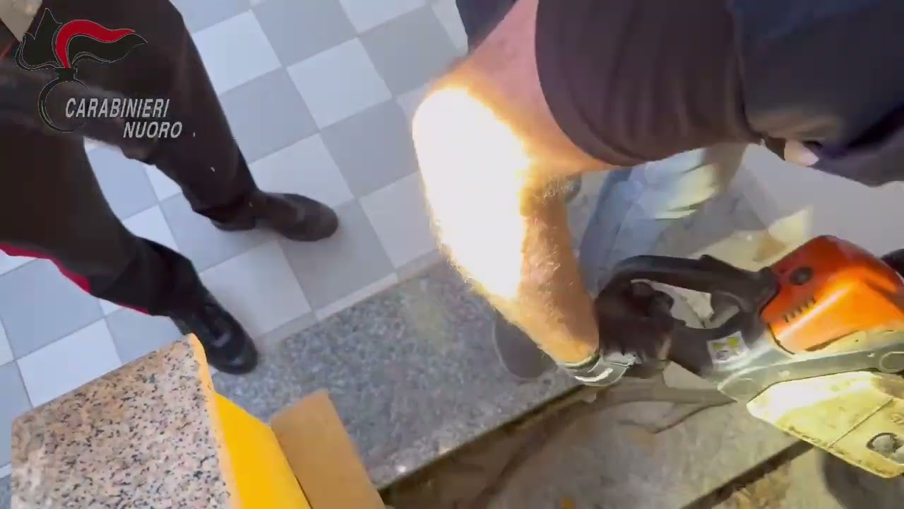 Il blitz di carabinieri e polizia