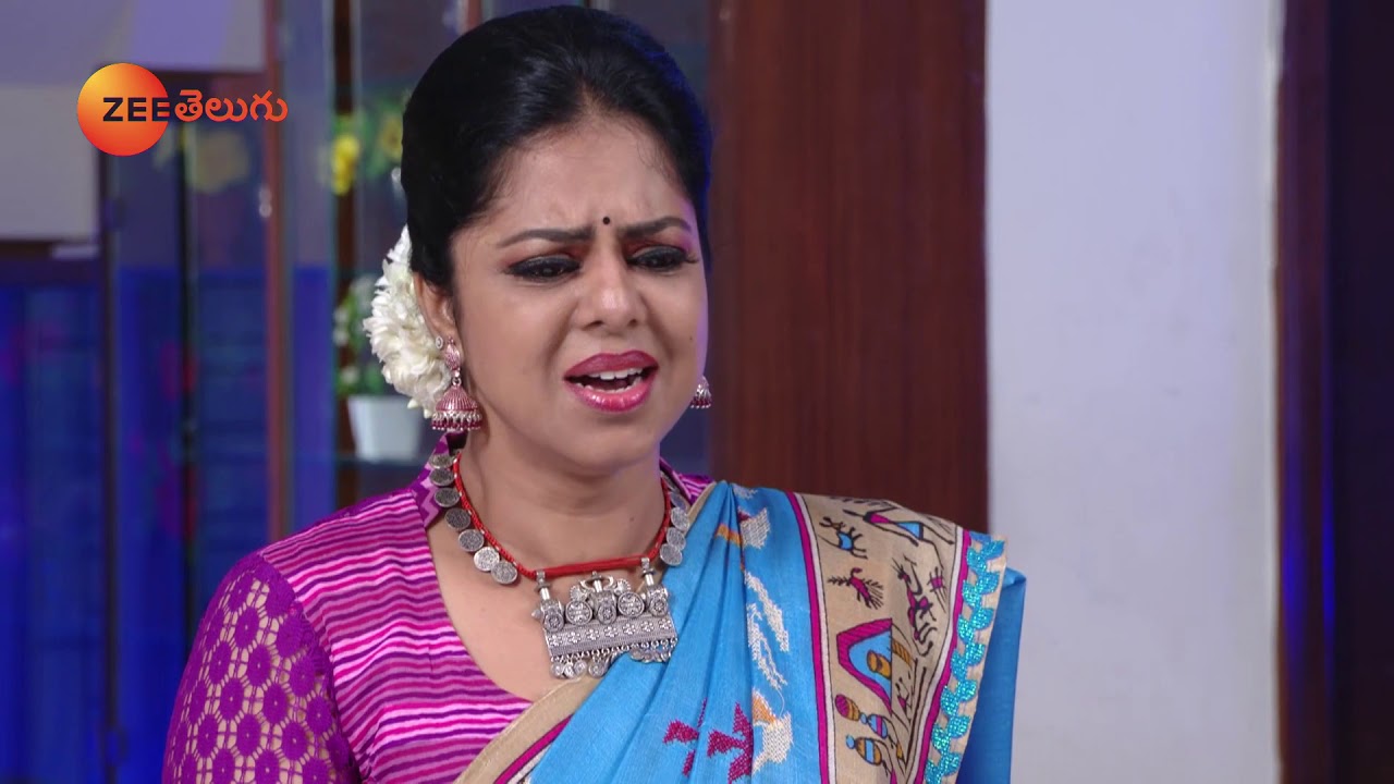 Raktha Sambandham - రక్త సంబంధం - Telugu Serial - EP - 588 - Meghana Lokesh - Zee Telugu