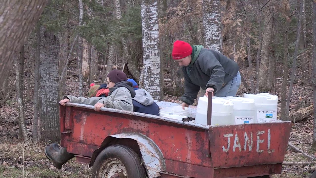 Harvesting Maple Sap at the Julian Farm with Draft Horses