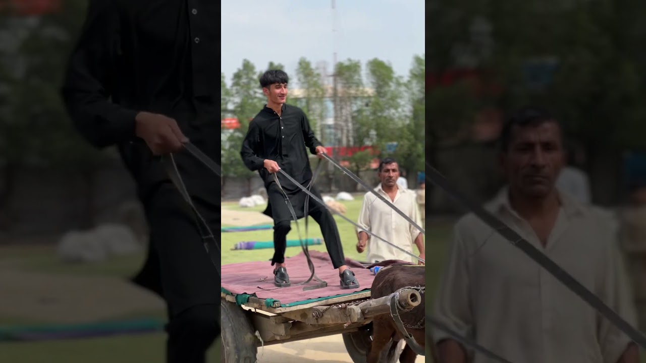 On the Way  pakpatan 🥵 #dailyvlog #pakistanvlog #funny #pakpatan #mrduffer