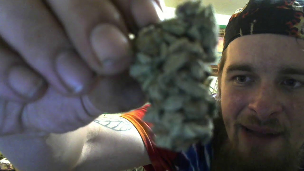 A Bud & A Bowl Show HD 94.29 % THC Tangie Dank Vapes Cartridge Medical Vape History of Shotgun Hit
