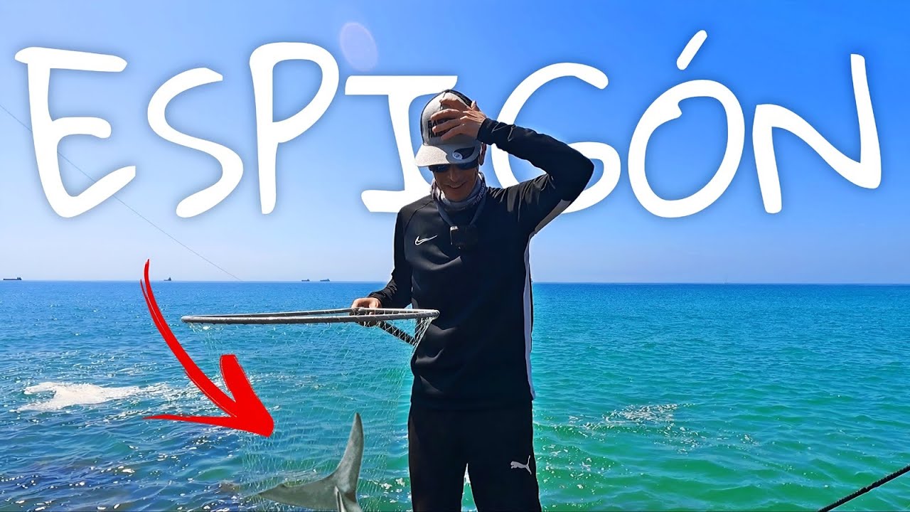 ¡MENUDA SORPRESA! Vuelvo a PESCAR desde ESPIGÓN a ROCKFISHING y estos señuelos TRIUNFAN
