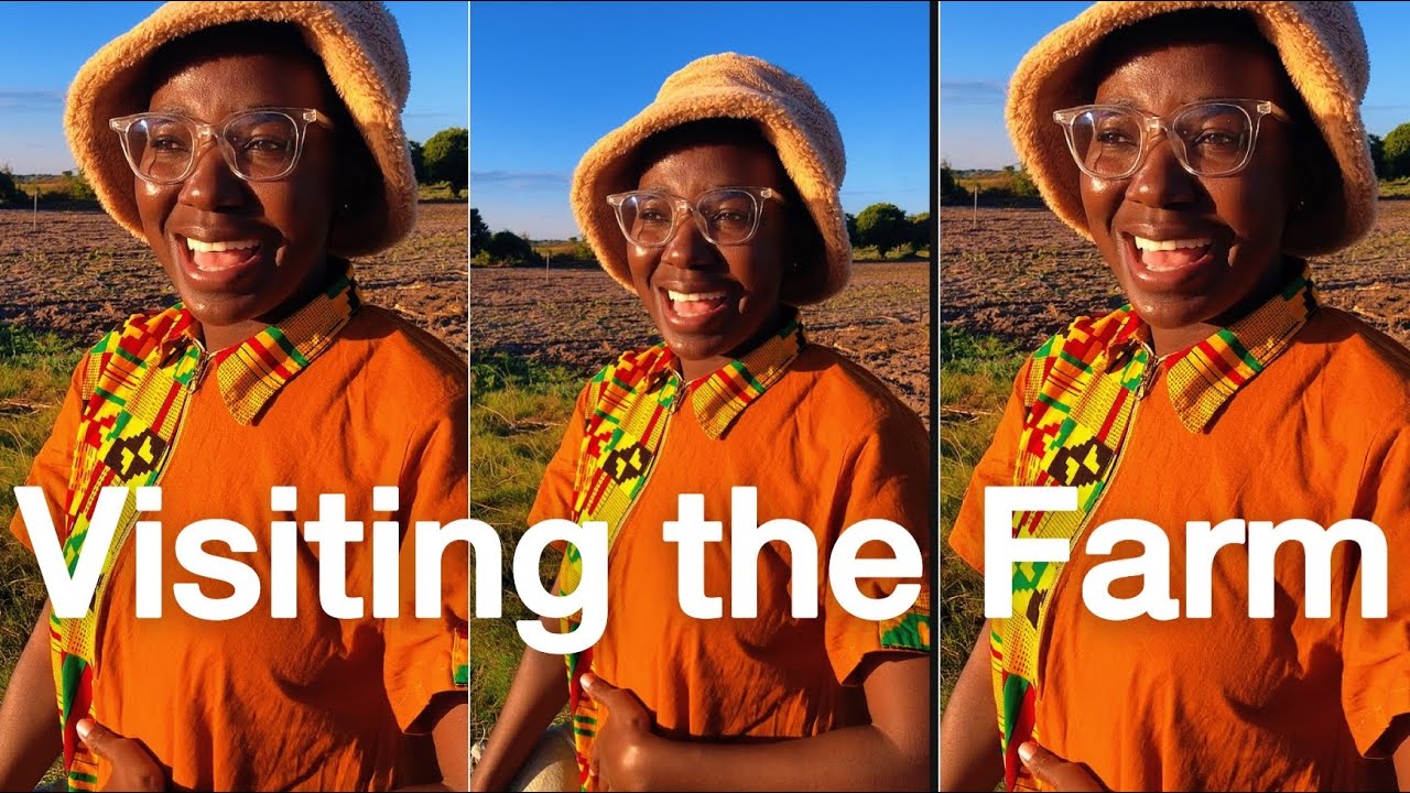 Visiting the Farm in Namibia | Living in Namibia Dairies