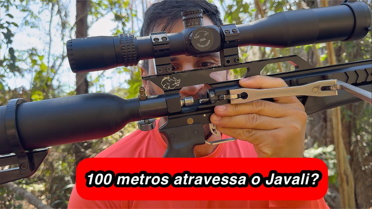 Pcp Proibida !