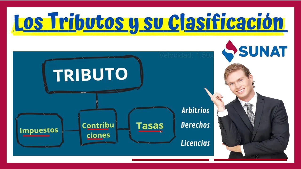 Los Tributos y su Clasificaci&oacute;n - bien explicado