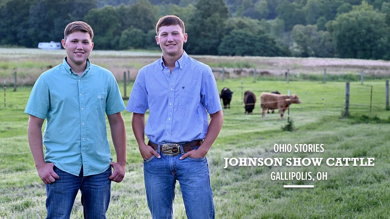 Ohio Stories: Johnson Show Cattle
