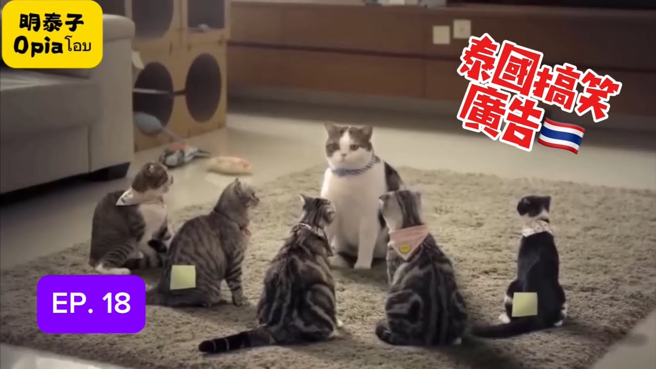🇹🇭 #泰國搞笑廣告 #ประเทศไทย #EP.18 #แมว #Cat #貓星人 