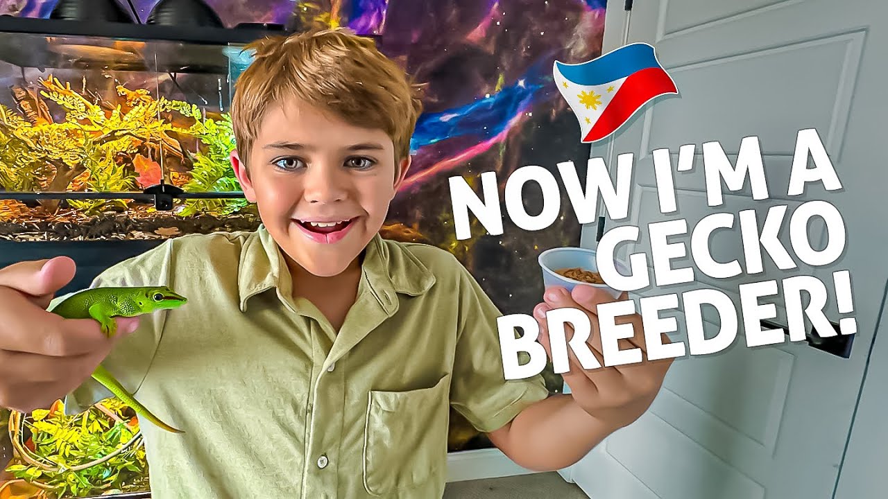 One of my gecko eggs finally hatched a baby!