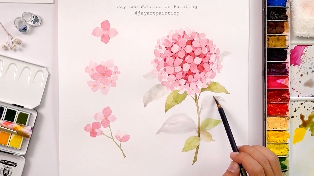 [LVL5] How to paint hydrangeas in watercolor