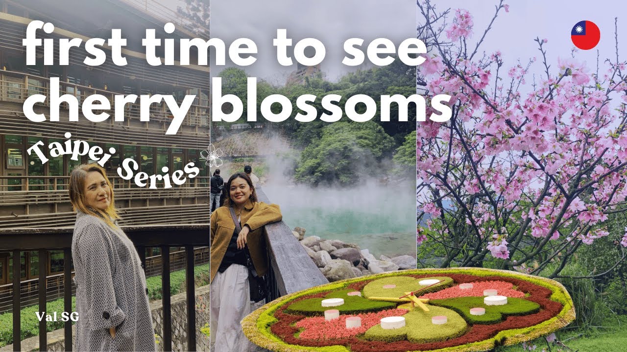 First Cherry Blossoms 🌸 + Beitou Hot Spring at Yangmingshan | Taipei 2025