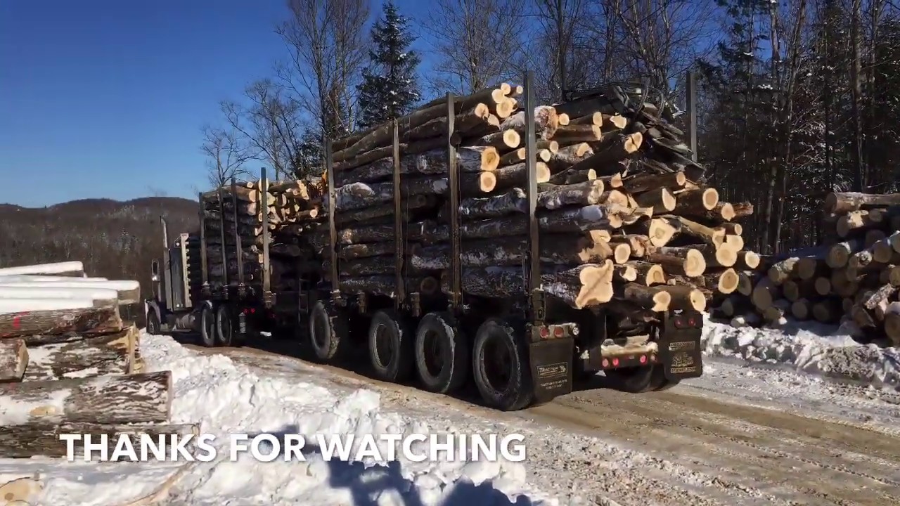Back Logging In Quebec