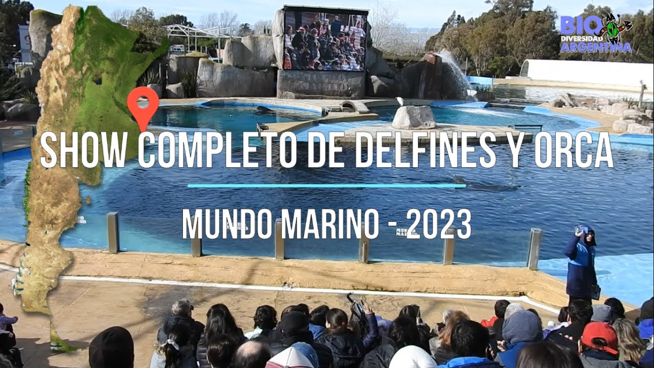 SHOW DE DELFINES Y ORCA 2023 - KILLER WHALE & DOLPHINS SHOW IN SAN CLEMENTE, BUENOS AIRES - SEAWORLD