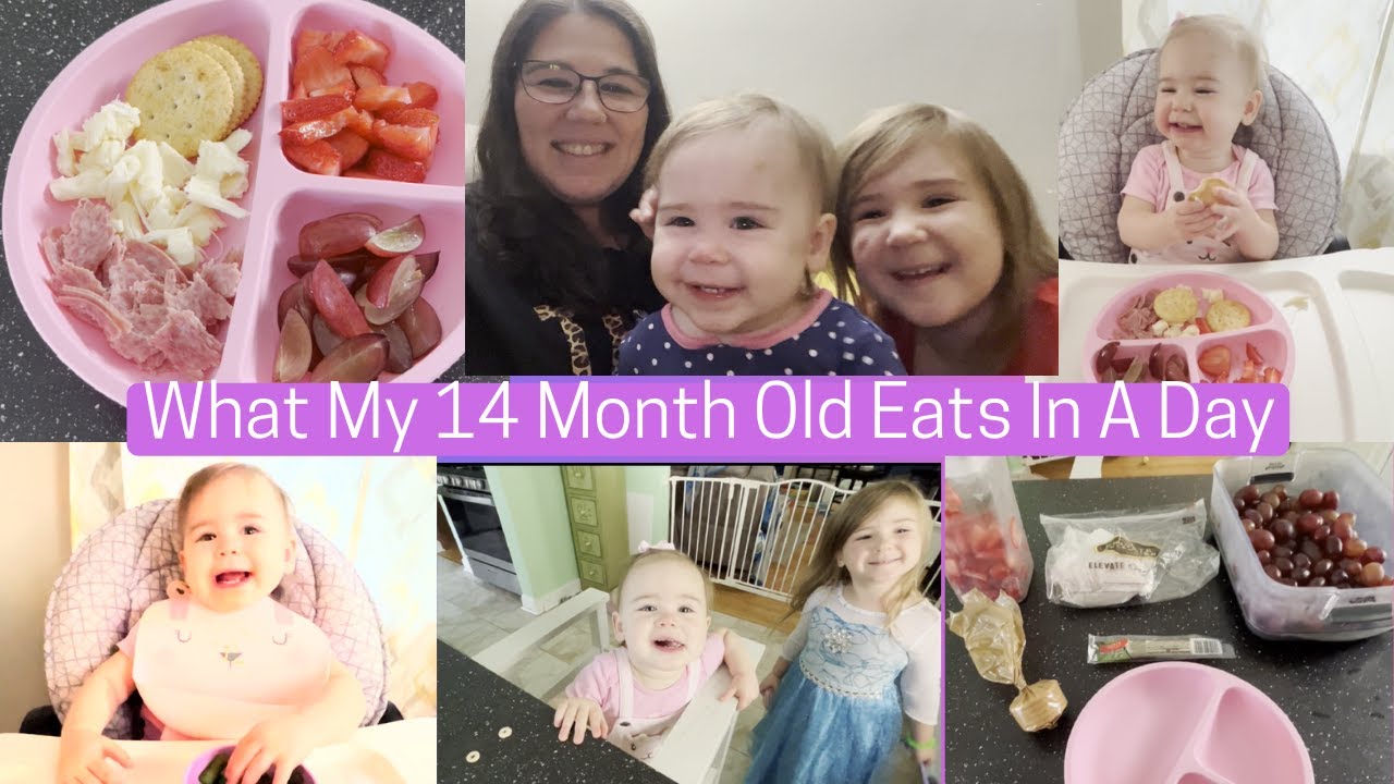 What My 14-Month-Old Eats In A Day // Easy Meal Ideas // SAHM