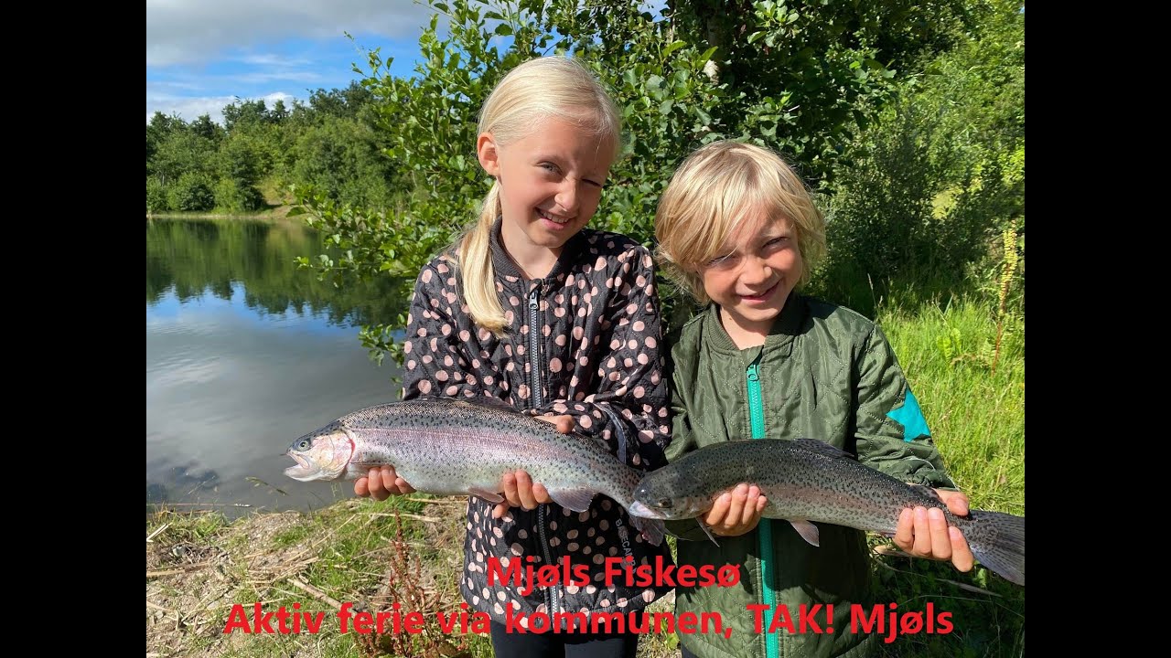 Mjøls Fiskesø - Aktiv Ferie tilbud Kommunen/Mjøls. Put and Take fishing