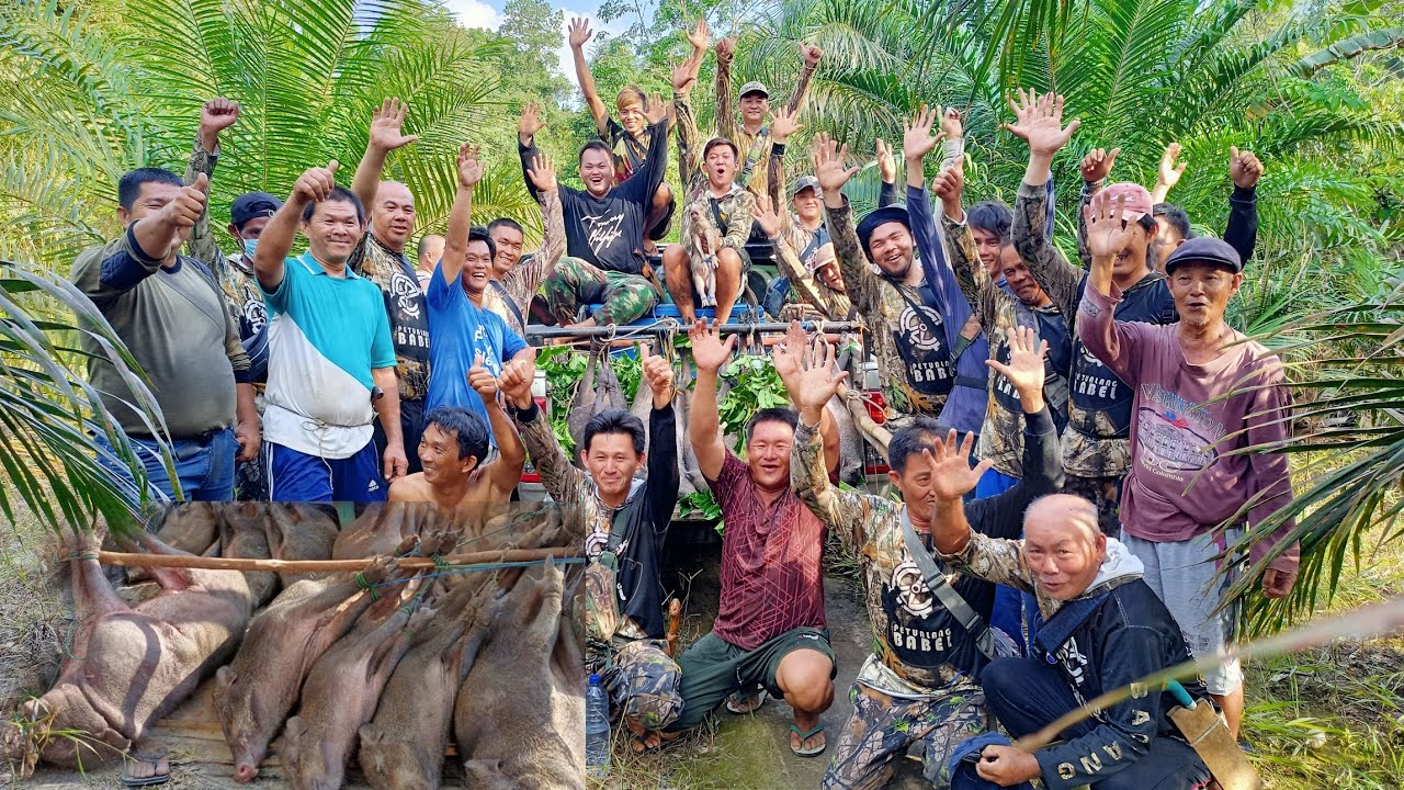BERBURU BABi HUTAN;PESTA POiN HAMA BABi HUTAN BERSAMA 