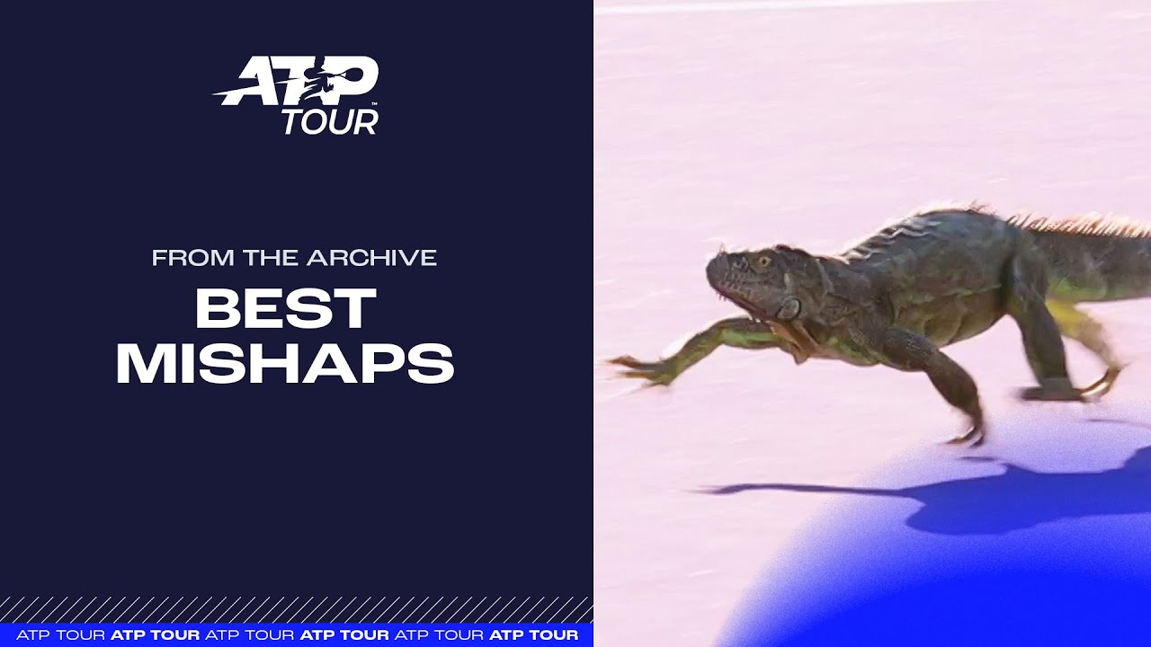 Best Mishaps
