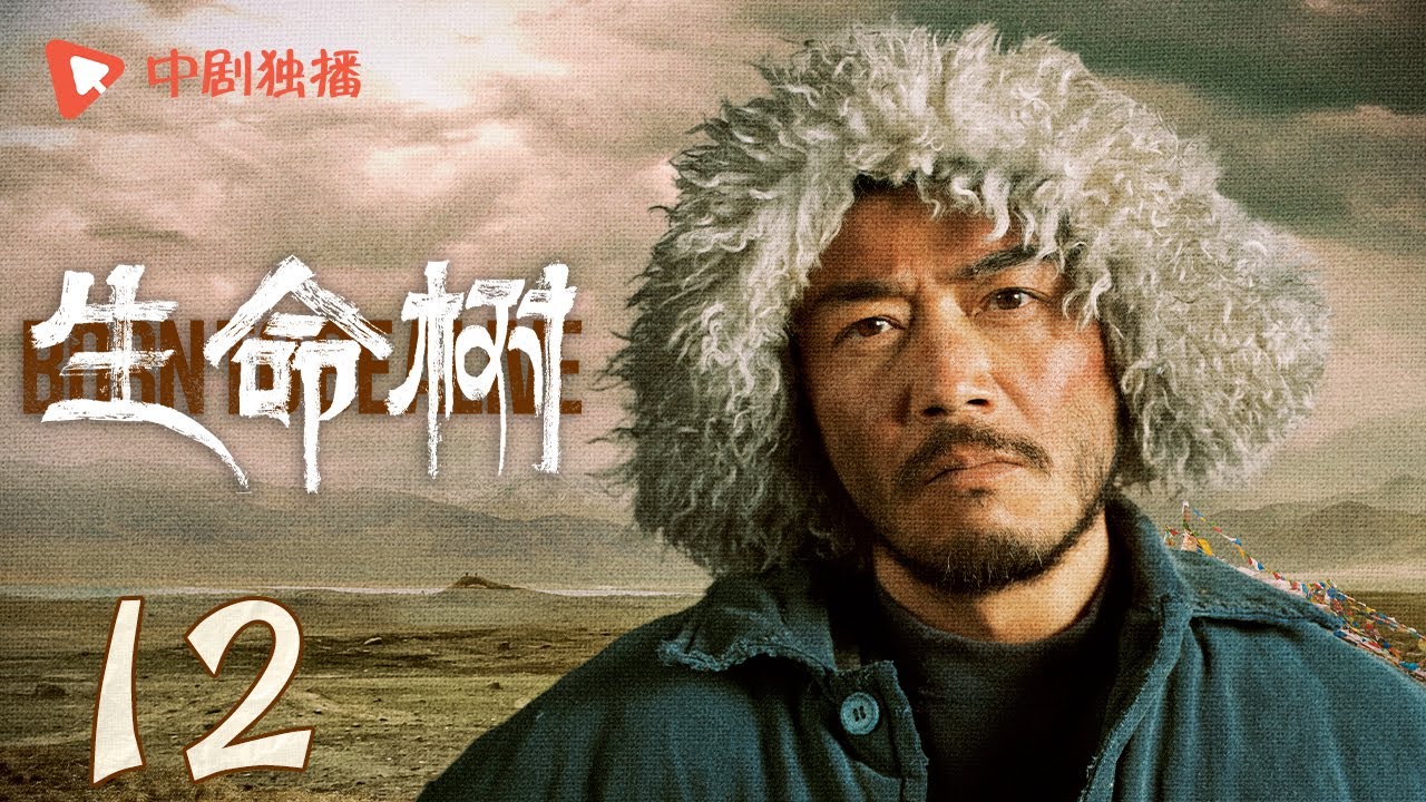 生命树 12 | Born to be alive 12（杨紫、胡歌、李光洁、张哲华、杨烁、梅婷 领衔主演）