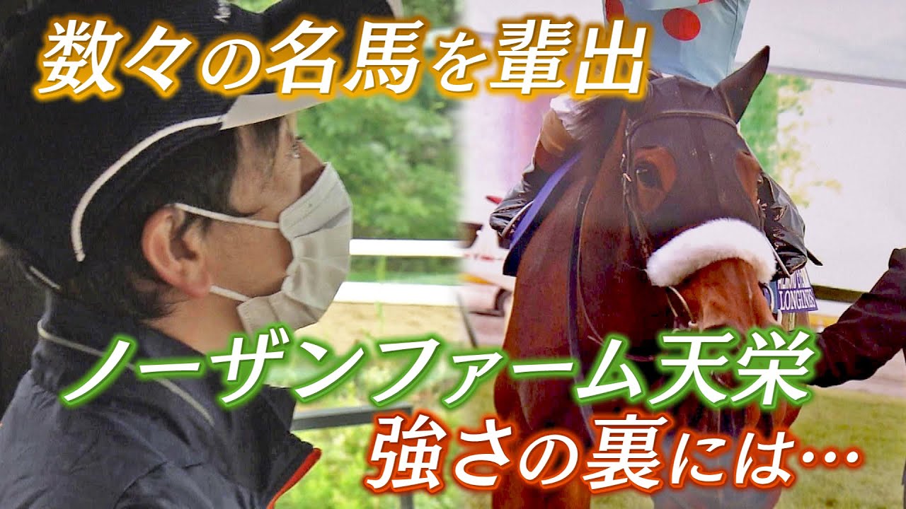 数々の名馬を輩出　ノーザンファーム天栄　強さの秘密