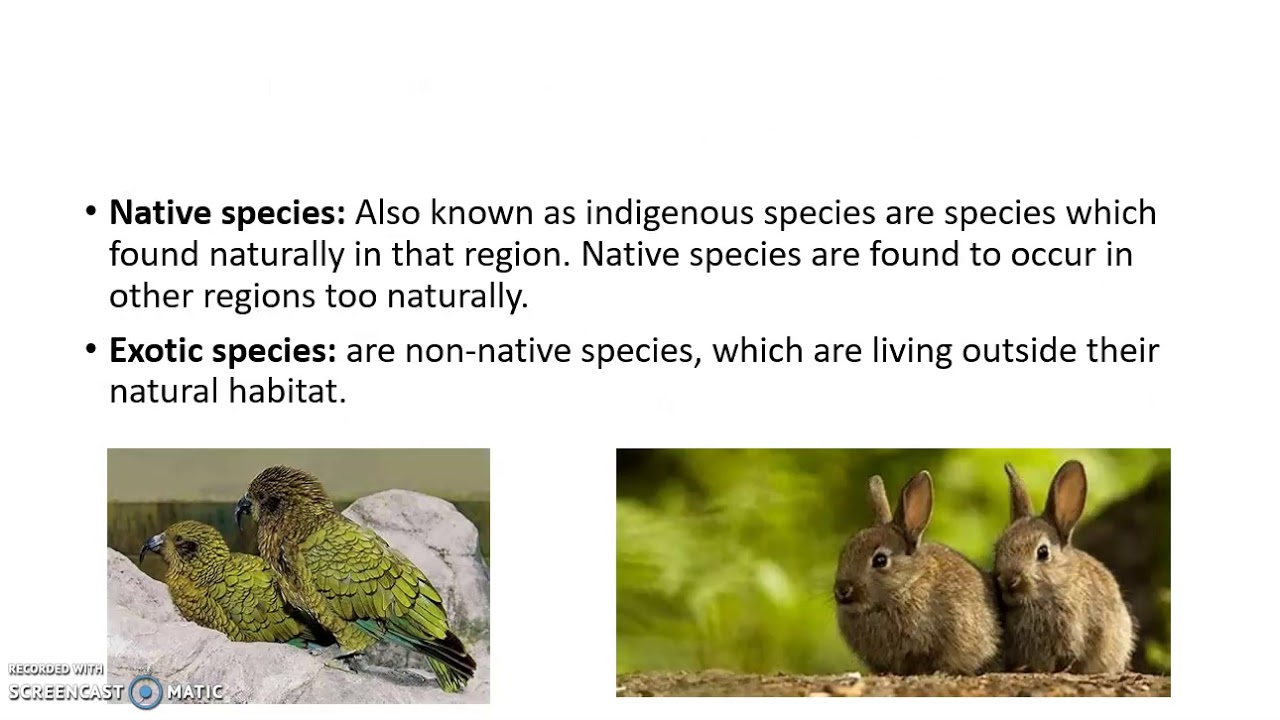 Endemic, native, indigenous and exotic species. Lesson 12: Genetic resources and conservation