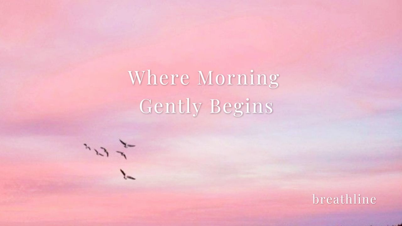 Pli 18 Where Morning Gently Begins /꿈과 아침 사이의 고요한 시간을 이 플레이리스트와 함께하세요.