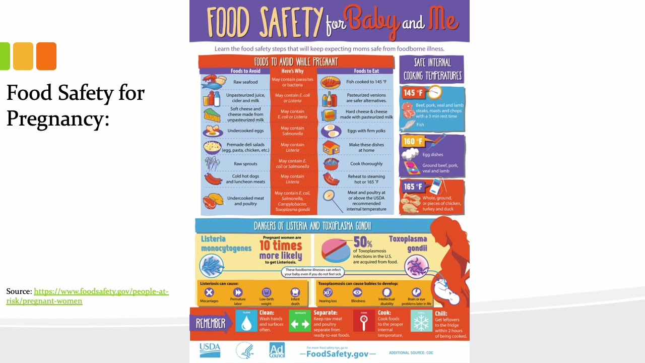 CHAPTER 12:  Nutrition through the Life Cycle From Pregnancy to the Toddler Years