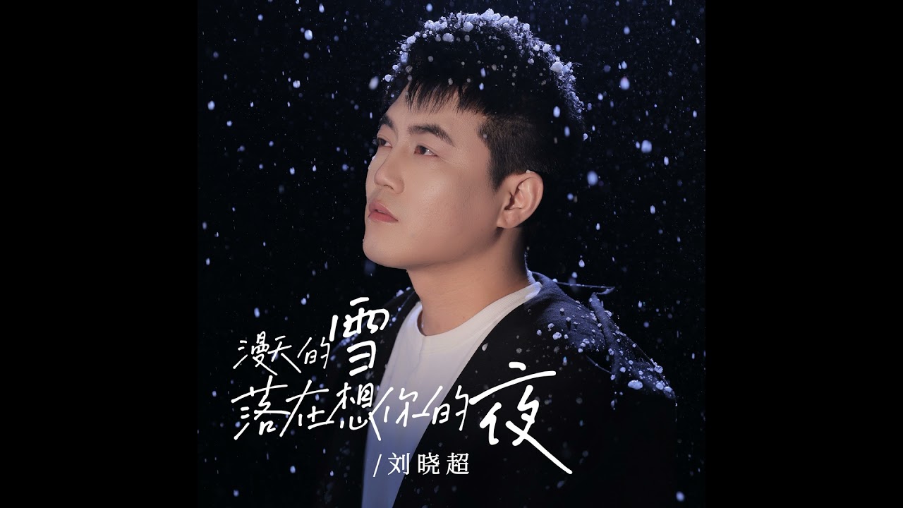 漫天的雪落在想你的夜