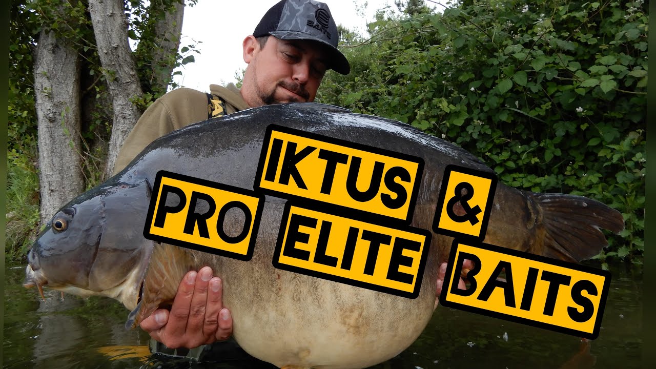 IKTUS & PRO ELITE BAITS (CARPFISHING FRANCIA)