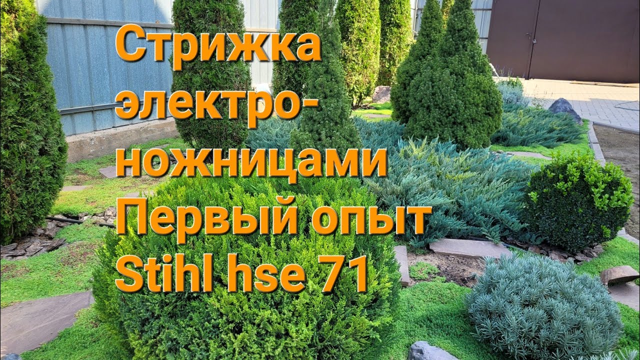 Стрижка электроножницами. Первый опыт. Stihl hse 71