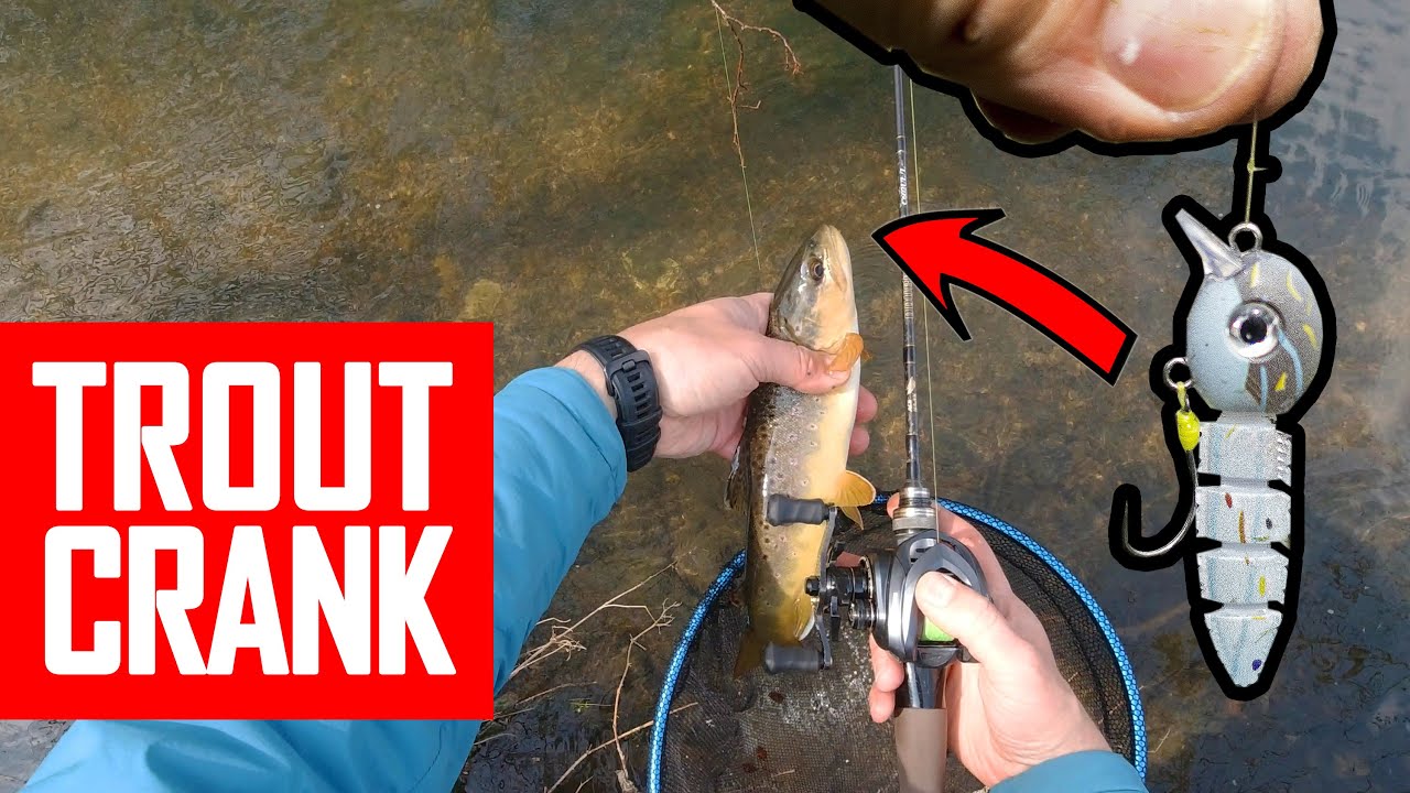 Trout were smashing this hard lure! Trout fishing in a tiny river