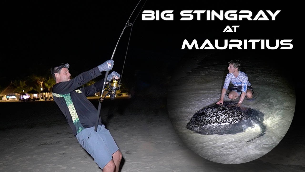 Monster Stingray fishing in Paradise! 🐟 Fishing at Mauritius with Balazs Csekey 🎣