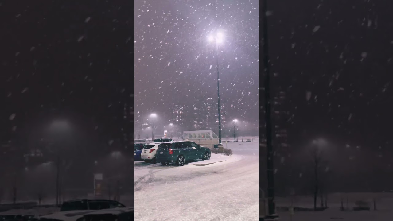 2026 Snowflakes 