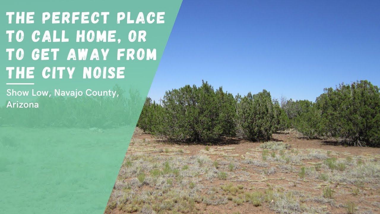 Land For Sale: Show Low, Az | Spend Some Time Away from the City 🎣🧗‍♀️🏹