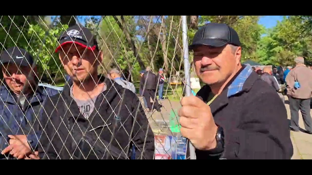 На ярмарке голубей В Луганске. И.Т.3.05.25.