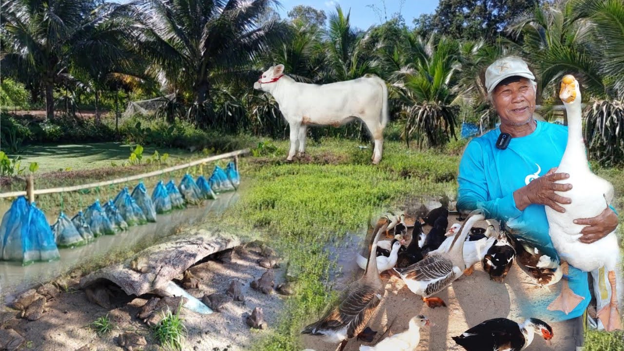 ปรับเปลี่ยนการทำเกษตรเชิงเดี่ยวมาทำแบบผสมผสาน มีแหล่งอาหาร ครบวงจร สร้างรายได้ครัวเรือน
