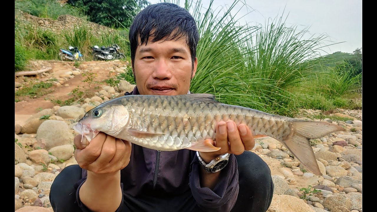 Lure 51 - Cá chày suối | A Đây Rồi!